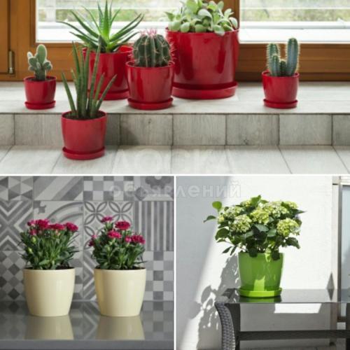 Горшки из Польши, для комнатных растений