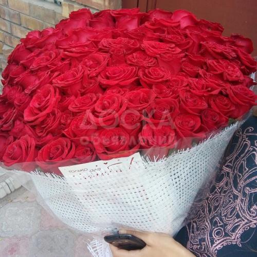 бесплатная доставка роз