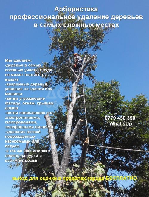 Удаляем самые сложные деревья