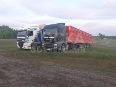 Скот из России