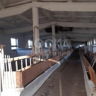 Продаю участок пром назначения, 10 га ГОТОВЫЙ Бизнес выход к 1млн 400т в год. Звоните Цена дешевая .