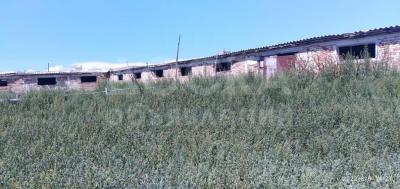 Продаю участок сельхоз назначения, 4 гектара кашар  га Село Бозбешик .