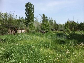 Продаю дачу 2-ком., 1250 кв. м., этаж-2, 12,5 -сот., стена кирпич, Аламудунский район, с. Таш-Дебе, ООС Самшит.