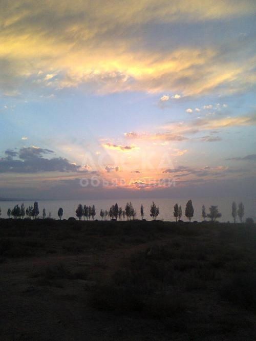 Продаю участок сельхоз назначения, 1 га Тонский район.