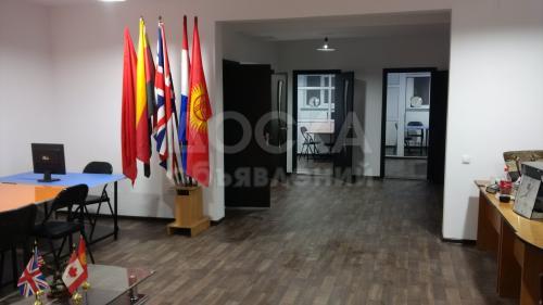 Образовательная компания набирает на курсы