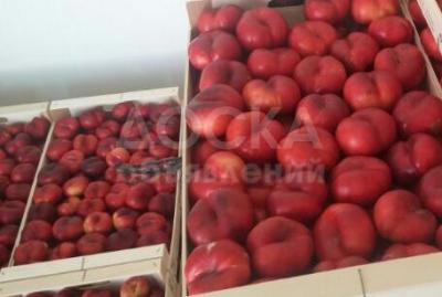 Нектарин плоский Platerina из Испании