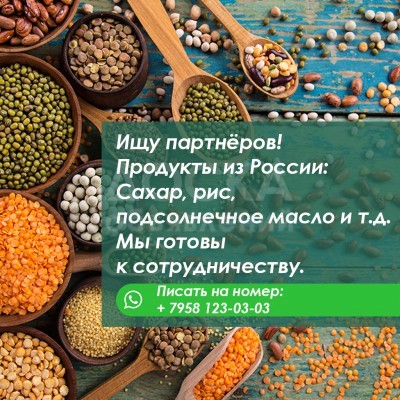 Ищу партнеров