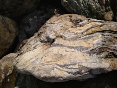 Продаю камни для ландшафтного дизайна и отделки !

 

Сланец, мрамор, гранит, щебенка, крошка, речной