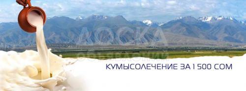 Кумысолечение в Суусамырской долине, 1500 сомов за всё!