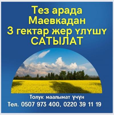 ТЕЗ АРАДА МАЕВКАДАН 3 гектар ЖЕР ҮЛҮШҮ САТЫЛАТ !
Документтери толук
Келишим баада
Тел. 0507 973 400, 0220 39 11 19