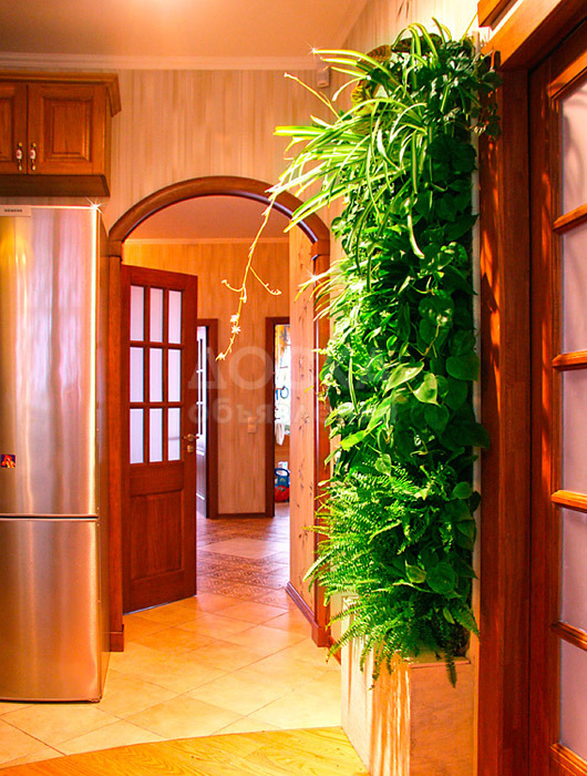 Вертикальное озеленение квартир, офисов и магазинов с системой автополива