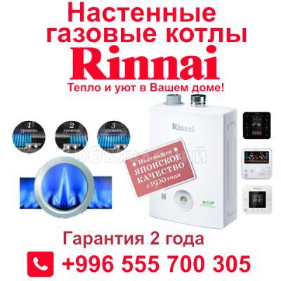 Котлы газовые настенные двухконтурные (Япония - Корея)