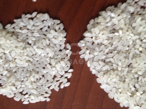 Продам рис Камолино