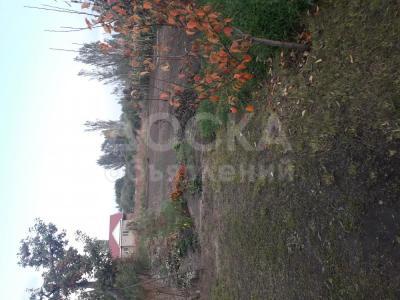 Продаю дом 2-ком. 52кв. м., этаж-1, 20-сот., стена другое, Село семеновка ул Ленина 23.