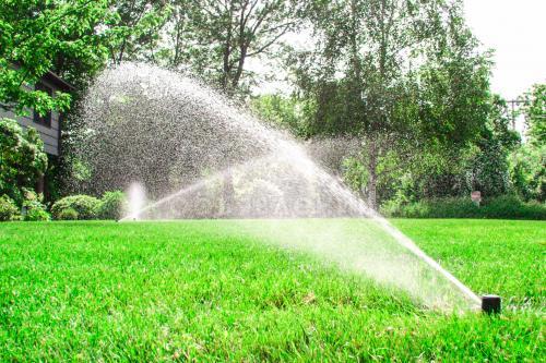 Устанавливаем поливную систему!