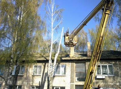 Пилю дрова, деревья любой сложности.