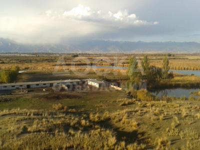 Продам Кашару Джети огуз-рн ниже села Липенка от 2х км от озера Иссык куль.