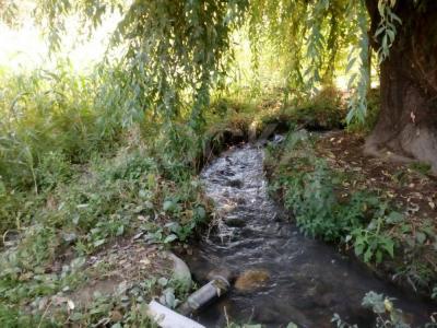 Продаю дом 5-ком. 120кв. м., этаж-1, 20-сот., стена кирпич, Ляйлякский район, село Кулунда.