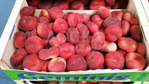 Персик плоский Paraguayo из Испании