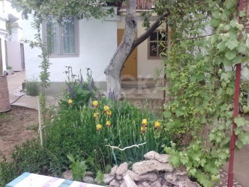 Продаю дом 5-ком., 54кв. м., этаж-1, 5-сот., стена кирпич, Иссык-Куль С. Бактуу-Долоноту за ипподромом.