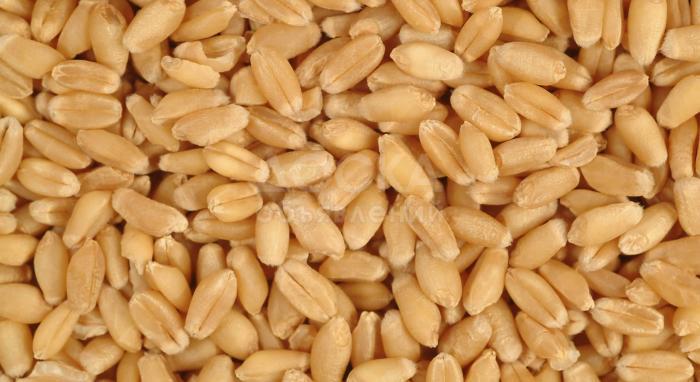 Пшеница 3-5 класса мягкая в Бишкеке. Производство - Россия, Омская обл