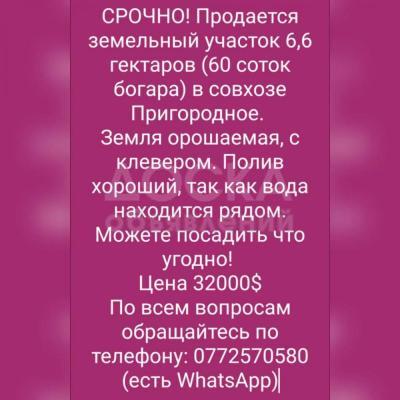 Продаю участок сельхоз назначения, 6,6 га с. Пригородное.