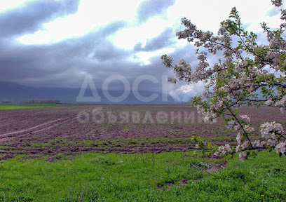 Продаю дачу 2-ком., 24кв. м., этаж-1, 16-сот., стена кирпич, Байтик (село Кайырма).