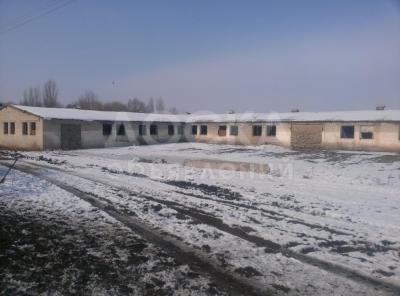 Продаю участок сельхоз назначения, 8 га с.Милянфан.