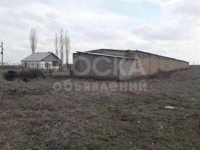 Продаю кошару 1 ГА, есть красная книга, Сокулук, б/п