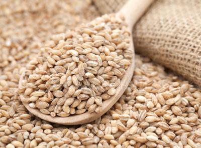 Продам перловку оптом