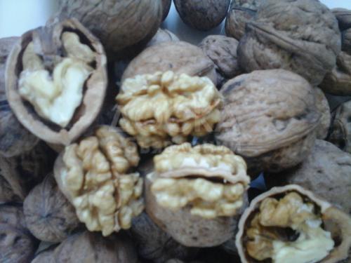 Продаю грецкие орехи