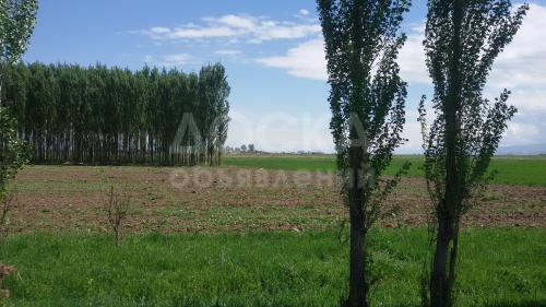 Продаю участок сельхоз назначения, 1 га с.Кок-Жар.
