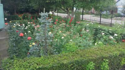 Продаю дом 5-ком., 100кв. м., этаж-1, 10-сот., стена кирпич, по запросу.