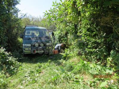 Дача, Горная маевка. Горная маевка. Горная маевка.