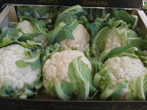 Цветная капуста из Испании