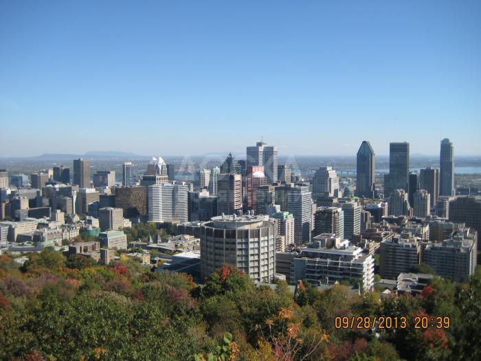 В адаптации самое главное это первые шаги в Канаде.
