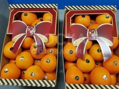 Продаем апельсин из Испании