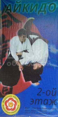 Боевое искусство Айкидо.  
Развитие  ловкости, гибкости:
Укрепление силы  духа;
Развитие глубокого  ума;
Самооборона без  оружия.