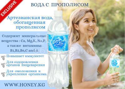 Вода обогащённая  прополисом/1л