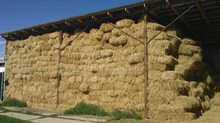 Продается животноводческий комплекс на 250 голов КРС и 200 голов МРС