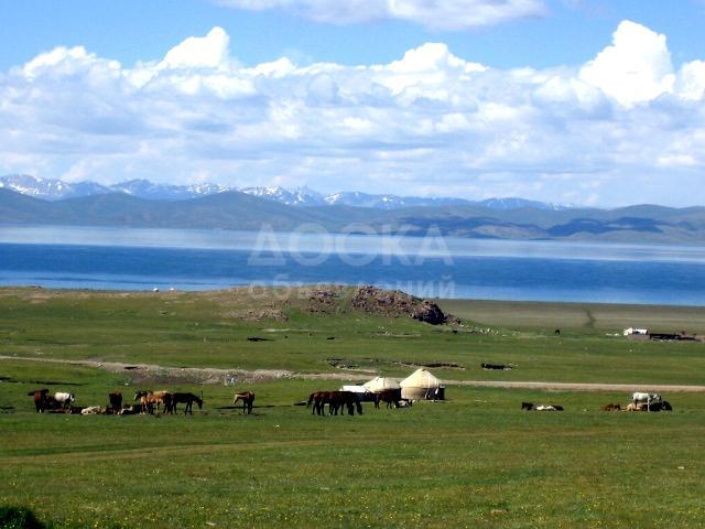 приглашаем на горный отдых в нарын