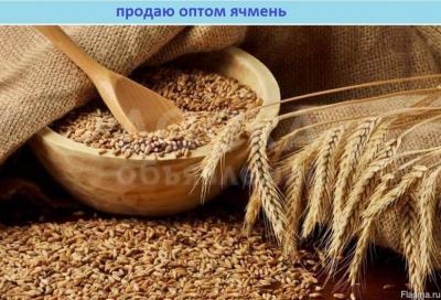 Продаю ЯЧМЕНЬ ! Оптом Казахстан