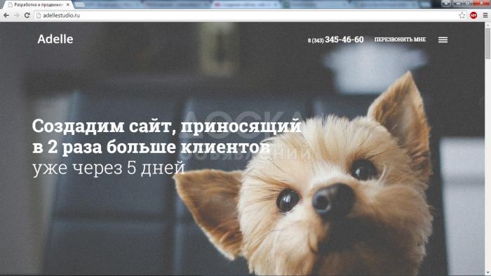 Разработка сайтов от 2000 сом. Продвижение. Моб.приложения. Логотип. Дизайн и др.