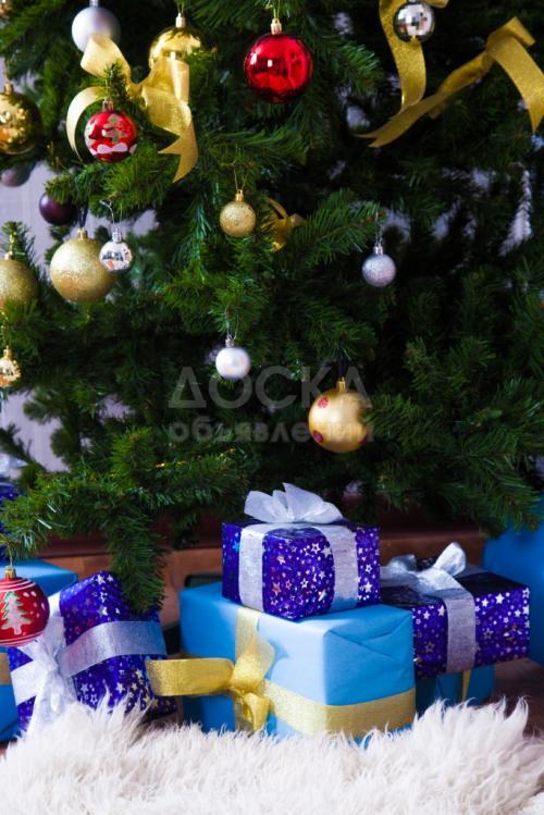 Новогодняя фотосессия в профессиональной студи DAN.KG