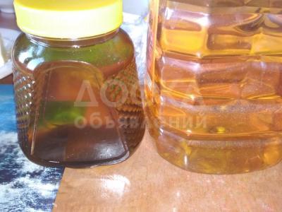 Продам подсолнечное масло нерафинированное из Восточного Казахстана.