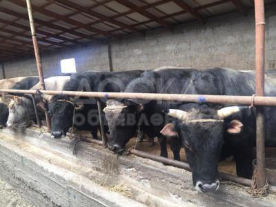 С.Красная-речка. С.Красная-речка.