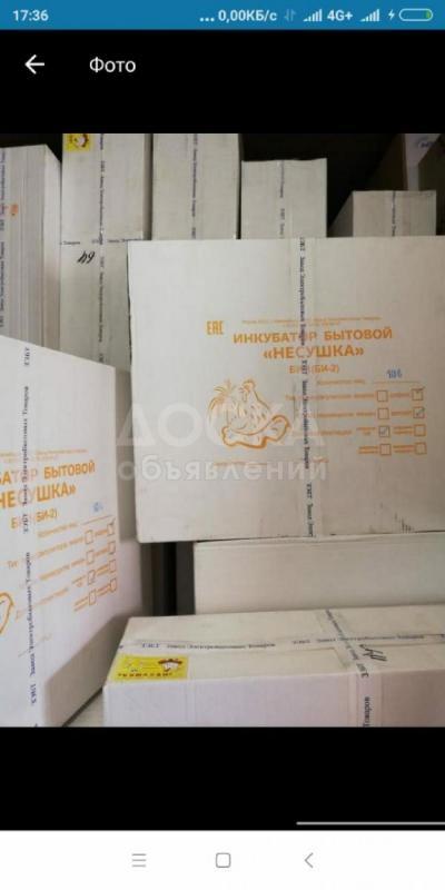 Продается   ИНКУБАТОРЫ  6500сом.  НЕСУШКА, ЗОЛУШКА