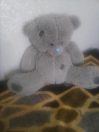 продам медведя