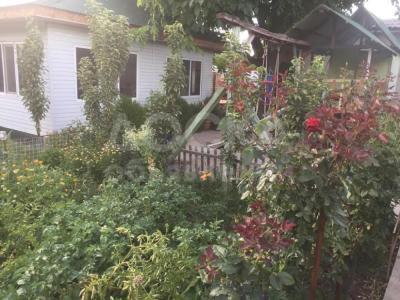 Продаю дом 4-ком. 85кв. м., этаж-1, 14-сот., стена другое, Лебединовка с.Восток.