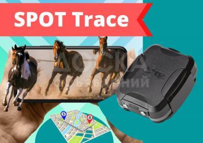 Спутниковый GPS трекер SPOT Trace для транспорта или животных (КРС и прочие)